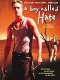 Affiche de A Boy Called Hate, film à voir en streaming sur Pygargue