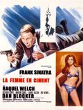 Affiche de La Femme en ciment, film à voir en streaming sur Pygargue