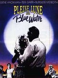Affiche de Pleine lune sur Blue Water, film à voir en streaming sur Pygargue