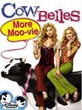 Affiche de Les Soeurs Callum, film à voir en streaming sur Pygargue