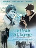 Affiche de Touching Wild Horses, film à voir en streaming sur Pygargue