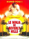 Affiche de Le Ninja de Beverly Hills, film à voir en streaming sur Pygargue