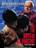 Affiche de Les Garçons de Saint Vincent, film à voir en streaming sur Pygargue