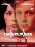 Affiche de La Ligne de Coeur, film à voir en streaming sur Pygargue
