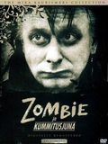 Affiche de Zombie and the Ghost Train, film à voir en streaming sur Pygargue