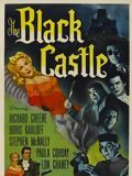 Affiche de Le Mystère du chateau noir, film à voir en streaming sur Pygargue