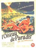 Affiche de L'Oiseau de Paradis, film à voir en streaming sur Pygargue