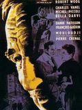 Affiche de Rafles sur la ville, film à voir en streaming sur Pygargue