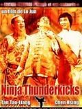Affiche de Ninjas Thunderkicks, film à voir en streaming sur Pygargue