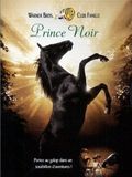 Affiche de Prince Noir, film à voir en streaming sur Pygargue