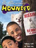 Affiche de Un chien envahissant, film à voir en streaming sur Pygargue