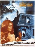 Affiche de Terreur dans la nuit, film à voir en streaming sur Pygargue