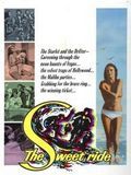 Affiche de Fureur à la plage, film à voir en streaming sur Pygargue