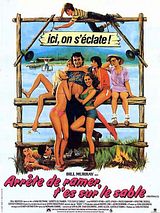 Affiche de Arrête de ramer, t'es sur le sable, film à voir en streaming sur Pygargue