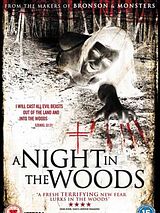 Affiche de A Night in the Woods, film à voir en streaming sur Pygargue