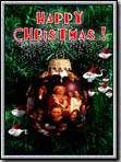Affiche de Happy Christmas !, film à voir en streaming sur Pygargue