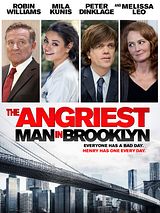 Affiche de Deuxième chance à Brooklyn, film à voir en streaming sur Pygargue