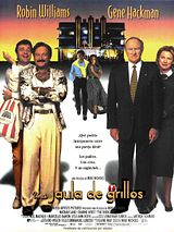 Affiche de The Birdcage, film à voir en streaming sur Pygargue
