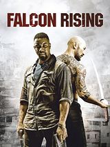 Affiche de Falcon Rising, film à voir en streaming sur Pygargue