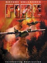 Affiche de Nature Unleashed: Fire, film à voir en streaming sur Pygargue