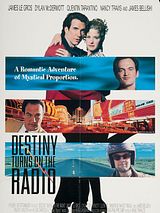 Affiche de Johnny Destiny, film à voir en streaming sur Pygargue