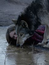 Affiche de Wild, film à voir en streaming sur Pygargue