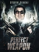Affiche de The Perfect Weapon, film à voir en streaming sur Pygargue