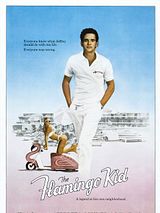 Affiche de Le Kid de la plage, film à voir en streaming sur Pygargue