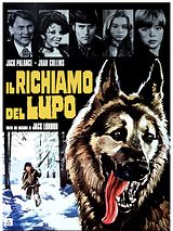Affiche de Il Richiamo del lupo, film à voir en streaming sur Pygargue