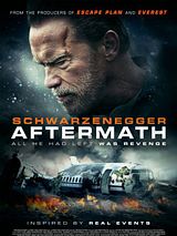 Affiche de Aftermath, film à voir en streaming sur Pygargue