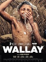 Affiche de Wallay, film à voir en streaming sur Pygargue