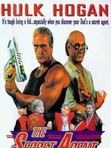 Affiche de Agent Double, film à voir en streaming sur Pygargue