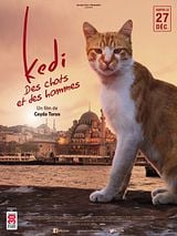 Kedi (Original Motion Picture Soundtrack)