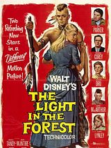 Affiche de The Light In The Forest, film à voir en streaming sur Pygargue