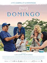 Affiche de Domingo, film à voir en streaming sur Pygargue