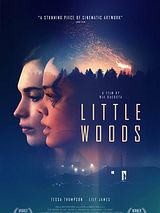 Affiche de Little Woods, film à voir en streaming sur Pygargue
