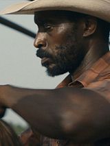 Affiche de Bull, film à voir en streaming sur Pygargue