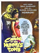 Affiche de Les Maléfices de la momie, film à voir en streaming sur Pygargue