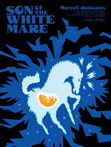 Affiche de Le Fils de la jument blanche, film à voir en streaming sur Pygargue
