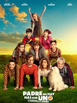 Affiche de Padre no hay más que uno 2: La llegada de la suegra, film à voir en streaming sur Pygargue