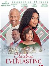 Affiche de Un Noël qui répare les blessures, film à voir en streaming sur Pygargue