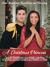 Affiche de La Princesse de Noël, film à voir en streaming sur Pygargue
