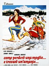 Affiche de Comment perdre sa femme et trouver une maîtresse, film à voir en streaming sur Pygargue