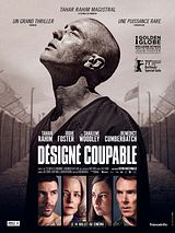 Affiche de Désigné Coupable, film à voir en streaming sur Pygargue