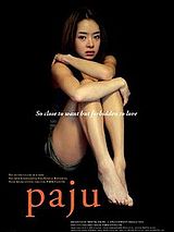 Affiche de Paju, film à voir en streaming sur Pygargue