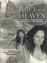 Affiche de Un cadeau du ciel, film à voir en streaming sur Pygargue