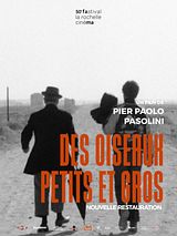 Affiche de Des oiseaux petits et gros, film à voir en streaming sur Pygargue