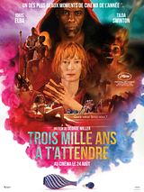 Affiche de Trois Mille ans à t’attendre, film à voir en streaming sur Pygargue