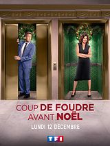 Affiche de Coup de foudre avant Noël, film à voir en streaming sur Pygargue