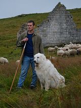 Affiche de Mort d'un berger, film à voir en streaming sur Pygargue